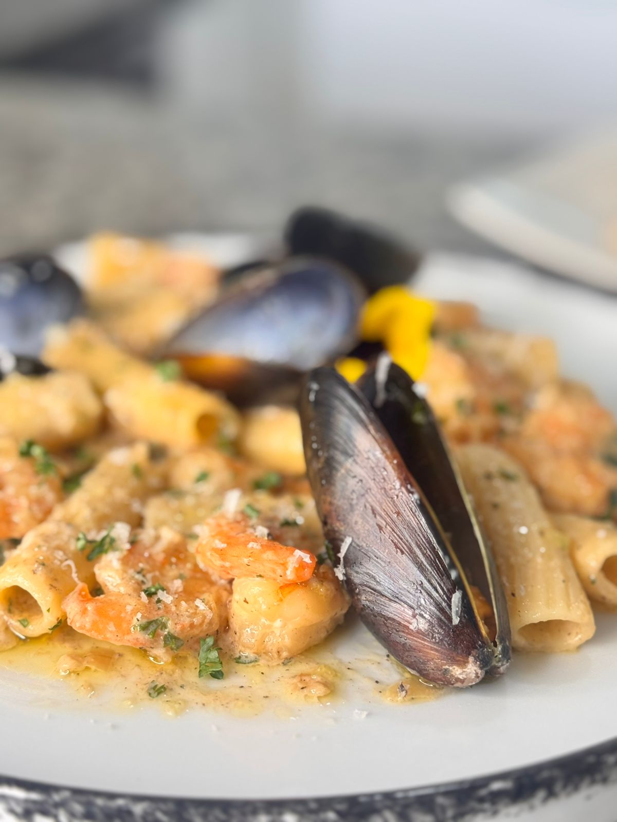 Plato gourmet 7